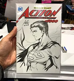 Stanley Artgerm Lau 刘展灏（Artgerm）： 经常绘制知名作品中的角色，融合了东西方美术的特点，形成了强烈美感的个人风格，把不同故事中的人物拉入了同一个画风世界。