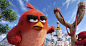 蓝-angry birds