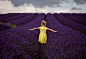 【美图分享】dominik wach的作品《Lavender walk》 #500px#