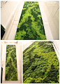[定制]永生苔藓植物墙仿真背景墙保鲜花大型垂直绿化背景墙进口-tmall.com天猫