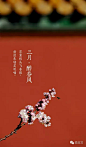 108张图看尽紫禁城的春夏秋冬 : 本文来自：微故宫（ID：weigugong），版权归其所有。 　　办公室门前有棵杏树，每逢三月便满树花开，之后硕果累累，最后落叶归根。 如此岁月往复，让我们萌生了记录紫禁城 一年中的景色的想法。 如今春去春又归，紫禁