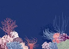 珊瑚手绘 - 站酷海洛 - 正版图片,视频,字体,音乐素材交易平台 - 站酷旗下品牌