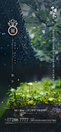 雨水节气海报