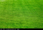 绿色的足球场草皮图片