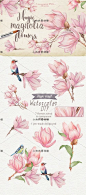 水彩手绘粉色木兰花杜鹃鸟png设计素材png148-淘宝网
