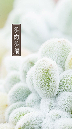 vvv-01采集到摄影