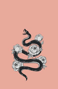 Charice采集到插画-动物-蛇