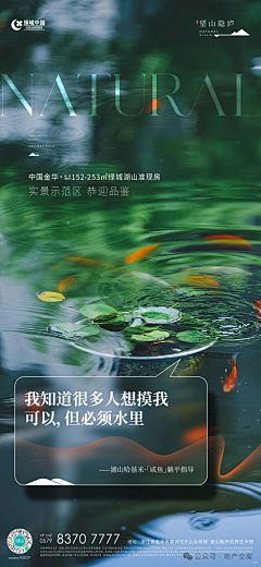 可能--采集到系列