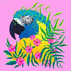 Jen Bartel 梦幻般的猫咪插画 韩国 超现实主义 色彩构成 色彩 肖像插画 矢量插画 梦 手绘 彩虹 宇宙 喵星人 动物 