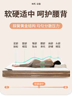 飞高高~采集到2