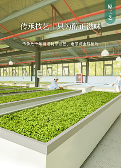 时光故事机i采集到时光设计—茶类参考
