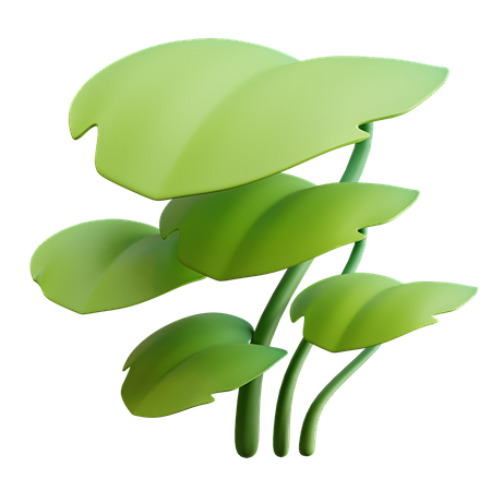 Premium Leaves 3D Il...