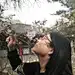 麦子粒粒1