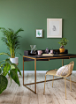 Image may contain vase, floor and houseplant