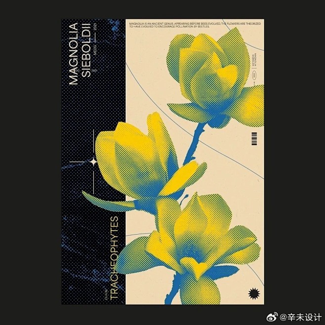 我的收藏 - 微博