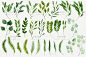 [cm60]28p树叶枝草绿色植物装饰元素婚礼请柬PNG免扣水彩手绘素材-淘宝网