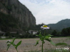 Feidian5采集到游记,小游雁荡山, 淡忘