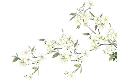 《剑网3》群侠纵享出游记 不负春风舟雨眠