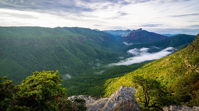 山