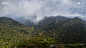 yakushima_1920_1080_fp_06