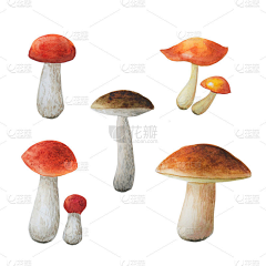 不爱吃蛋挞采集到蘑菇花环