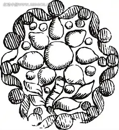 手绘叶子和果子围成的圆形插画|果子|矢量素材|手绘|叶子|圆形|矢量素材　矢量花朵|情人节矢量素材矢量图|矢量素材矢量罂粟花纹|矢量森林矢量素材