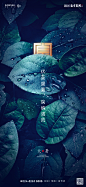 融创盛京宸院