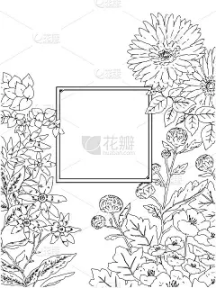 用时髦的鲜花装饰的框架