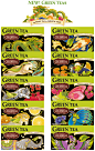 Celestial Seasonings Green Teas : 11 Boxes and countless brand items for Celestial Seasonings Green Tea