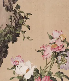芍药