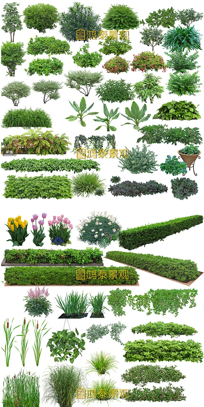 园林景观设计PSD分层树木花草植物立面图效果图PS后期绿化植物库-淘宝网-花瓣网