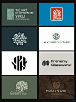 藏在树木中的力量：logo设计分享