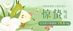 凌空PeaR采集到banner