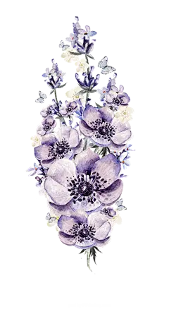 手绘花 蝴蝶 叶子 花环 钻石 花瓣 png素材