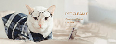 以承采集到Banner_猫粮