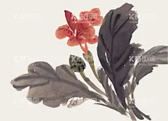 百花争艳   - 源文件下载【酷图网】百花争艳,国画百花争艳,国画,花鸟画,花,水墨画,花朵,红花,手绘花朵,手绘花,水墨画花,抽象花,工笔画,月季,牡丹,水墨荷花,