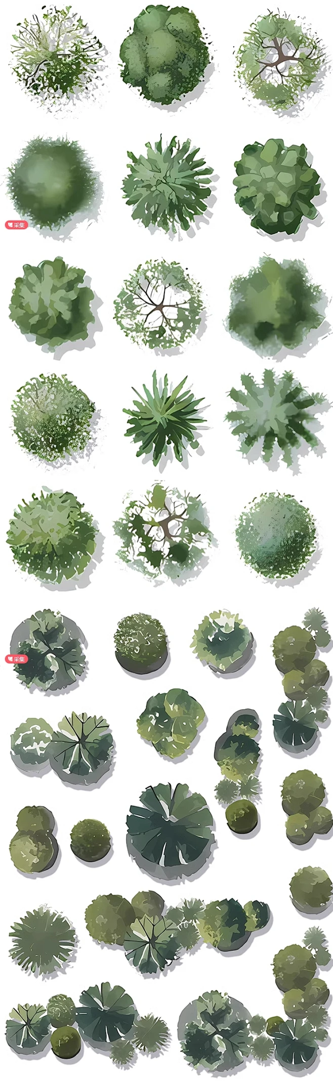 2024新森系风彩平图植物PSD免扣素材建筑景观庭院彩平植物ps素材-花瓣网