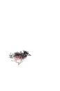 未标题-1