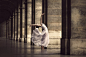 Dimitry Roulland:城市舞者