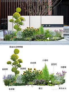 别墅庭院_简约大气易打理的花境植物设计_1_花小铺_来自小红书网页版-花瓣网