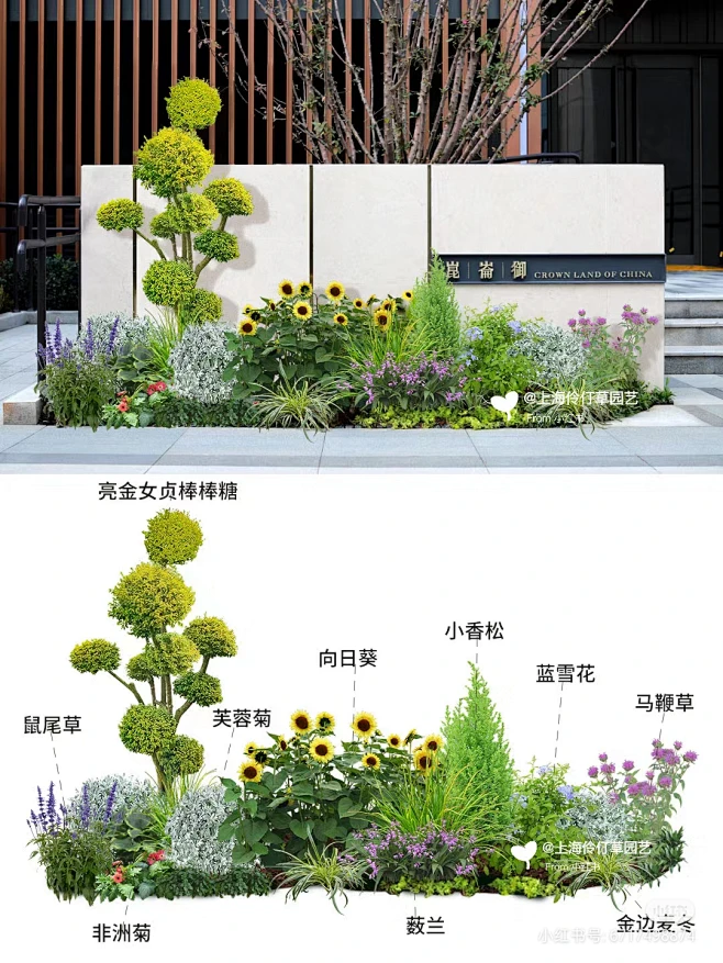 花境搭配-花瓣网