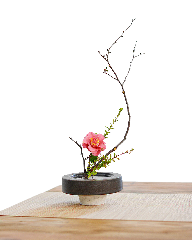 清新·花