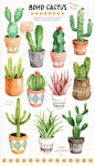Boho Cactus Watercolor Cliparts, Boho Clipart, Botanical Plant, Tropical Clipart, Cactus Pack, Succu