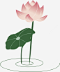 卡通小清新荷叶装饰插画免抠png素材_新图网ixintu.com