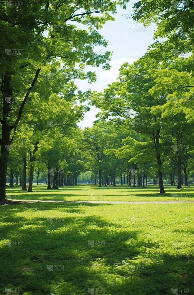 绿色树林风景场景图片