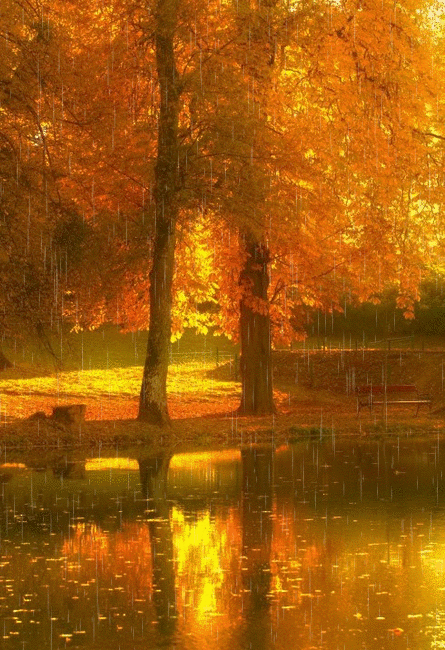 445_650竖版 竖屏gif 动态图 动图