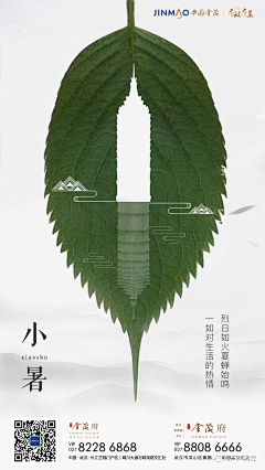 1205123528采集到节日节气