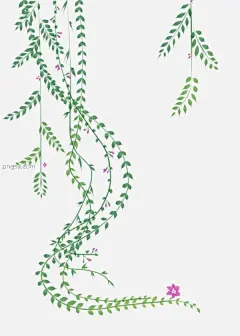 花藤植物生长插画图片大小2000x2800px 图片尺寸1.27 MB 来自PNG搜索网 pngss.com 免费免扣png素材下载！插画#春天的花藤#花藤#卡通插画#绿色的花藤#绿色植物#绿植装饰#藤蔓#植物藤蔓#装饰图案#