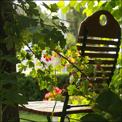 情感意境图片你好–我是来看春天的唯美意境网