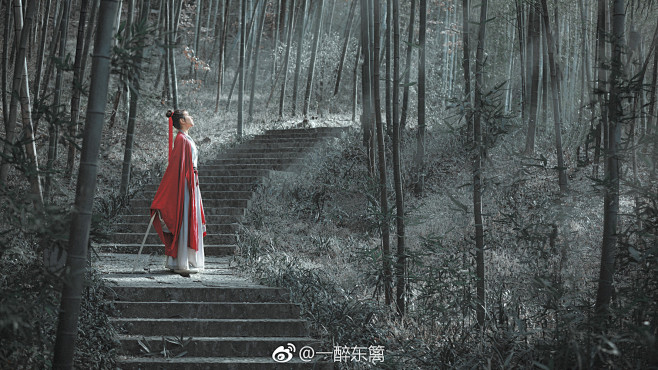 一醉东篱的照片 - 微相册
